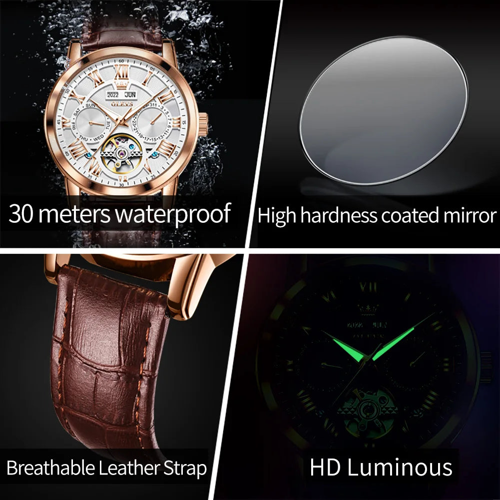 OLEVS 6668 Herren Automatikuhren Römische Skala Mechanische Uhr für Herren Top-Marke Wasserdichtes Automatikdatum Original Herren Handuhr